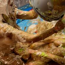 Messygirl: New Messygirl Download: The Live Messygirl Vegas Show 2025