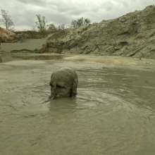 TannerQS: Wasteland Mud Workout Finisher