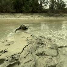 TannerQS: Wasteland Mud Workout Finisher