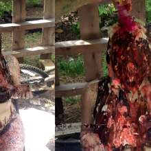 Slime Genesis: Willow Wants Her Chocolate Sunday with Sprinkles!