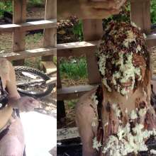 Slime Genesis: Willow Wants Her Chocolate Sunday with Sprinkles!