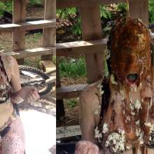 Slime Genesis: Willow Wants Her Chocolate Sunday with Sprinkles!