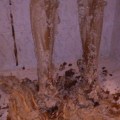 wam1266: Part 2