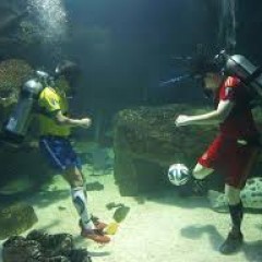mrb1972: Underwater World Cup