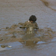 mud_ndp: 