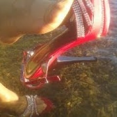 cvea: ania Shoe Dangling Wet High Heels Lake Pantyhose