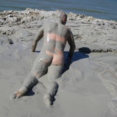 mudhog: 