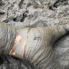 custardcouple: More Muddy Pics