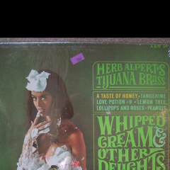 WAM Lover: What started it for you?