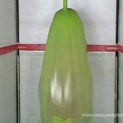 bosunbob: Episode 70 with Brook, Tegan, Birdy and the gunge tank now on UMD store