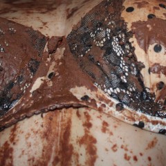 messy944: messy girlfriend punishment