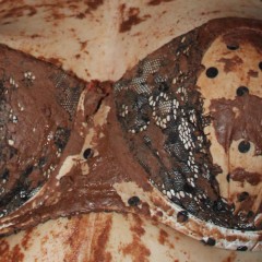 messy944: messy girlfriend punishment