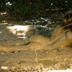 Owen: Shane's Sexy Mud Glamour