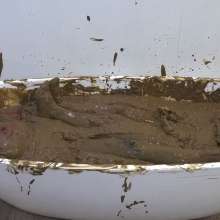 MostWam: Testing New Mud