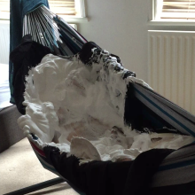 messymatt1: Summer's here...Foam hammock!