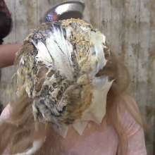 MostWam: Pie Wars Emily And Georgina