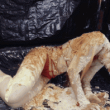 GirlsGetGunged: What's Streaming?