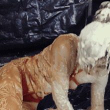 GirlsGetGunged: What's Streaming?