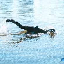 wet.look.me: Joker dives again!  See new wetlook set!