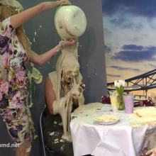 RevSlymsford: The Epic 9 Girl Pie Fight Promo..with preview pics