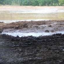 mudman121: Trucks Gone Wild mud pits