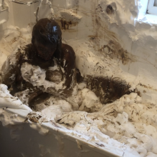 Wamchantelle: Chantelle Shaving foam bath with a chocolate and treacle ending