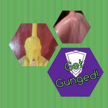 QuizBob: New packages to Get Gunged in our tank
