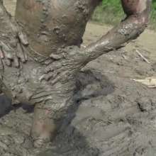 bodybyjake: Messy download store is open and stocked with videos