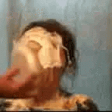 scooterpie17: Girlfriend Pie gifs Set 12