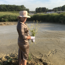 Wamchantelle: XX Chantelle XX Wild Flowers and Formal Outfit