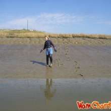 Wamchantelle: 