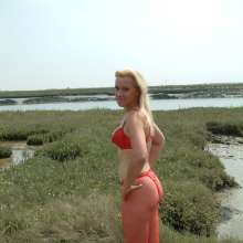 Wamchantelle: 