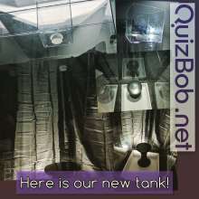 QuizBob: Book Your Seat In Our Gunge Tank--New Pics!