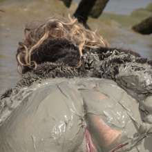 FOXY: Fur coat in deep mud