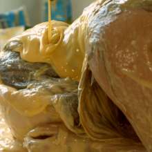 HotWamHD: Final part of Emily's Custard Fantasy at Hotwamhd