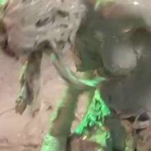 : Muddy Madness