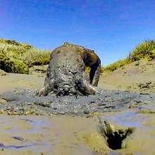 Clifford Anderton: New Mud Play 5-09-19 Boston