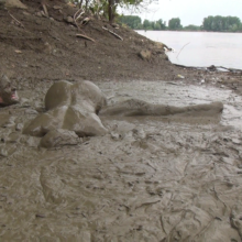 Jayce: I found the Bestest Mud again!  mud Virgin Jenna gets in with me!