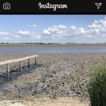 mago: Today day of mud