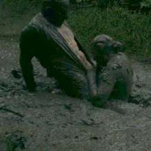 MessyQcCouple: 