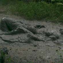 MessyQcCouple: 