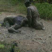 MessyQcCouple: 