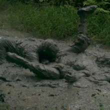 MessyQcCouple: 