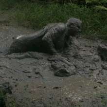 MessyQcCouple: 