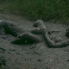 MessyQcCouple: 
