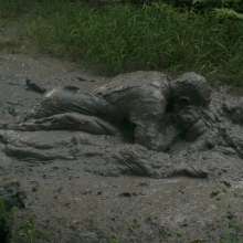 MessyQcCouple: 