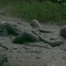 MessyQcCouple: 