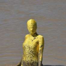 FOXY: zentain river's mud
