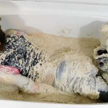 Kaydens: Kaydens' Oatmeal Bath in Business Attire