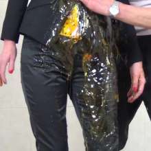 WSMProductions: Mrs. cc Becomes a Custard and Treacle Tart--xxx HD Mov